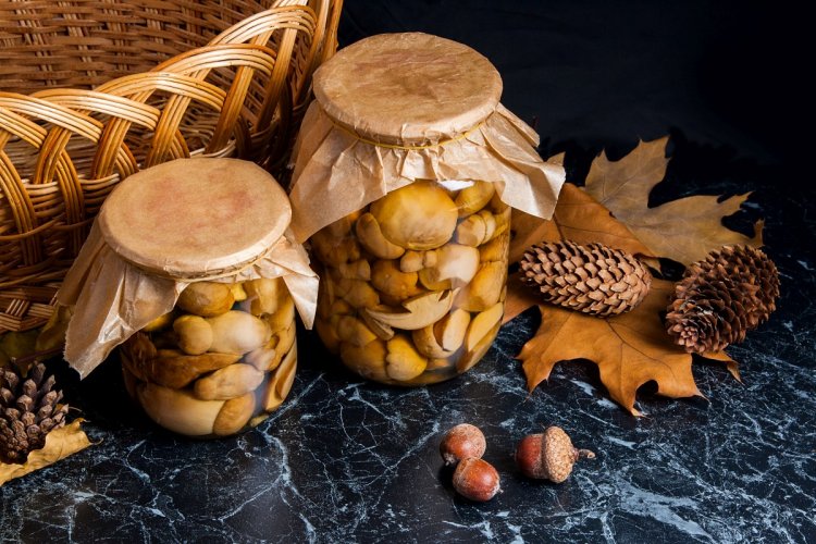 15 классных рецептов, как приготовить маслята