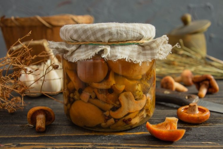 Маринованные рыжики на зиму