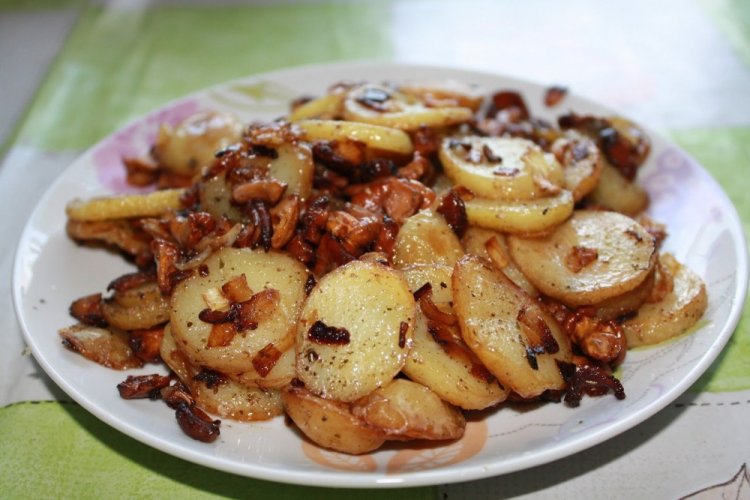 Рыжики с картошкой