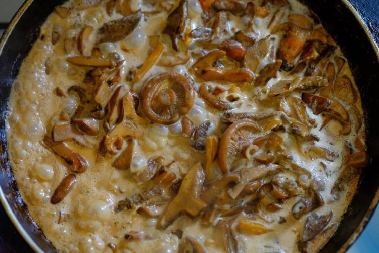 Рыжики с курицей