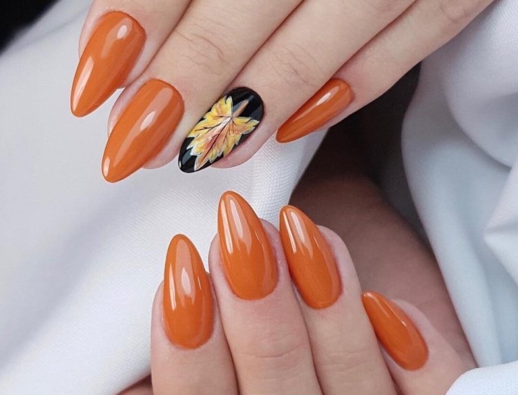 Цветные базы