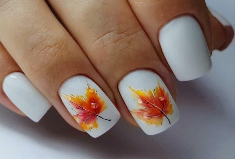 Осенние листья