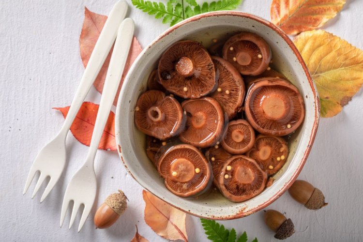 Рыжики на зиму: 12 рецептов простых и вкусных заготовок
