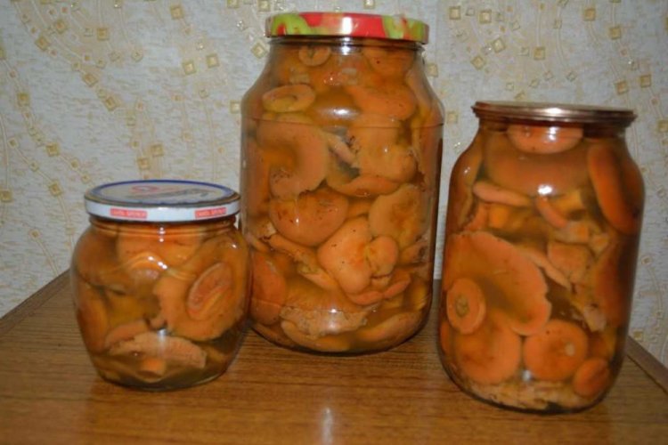 Острые маринованные рыжики на зиму
