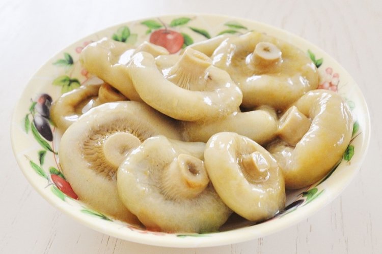 Соленые грузди горячим способом на зиму