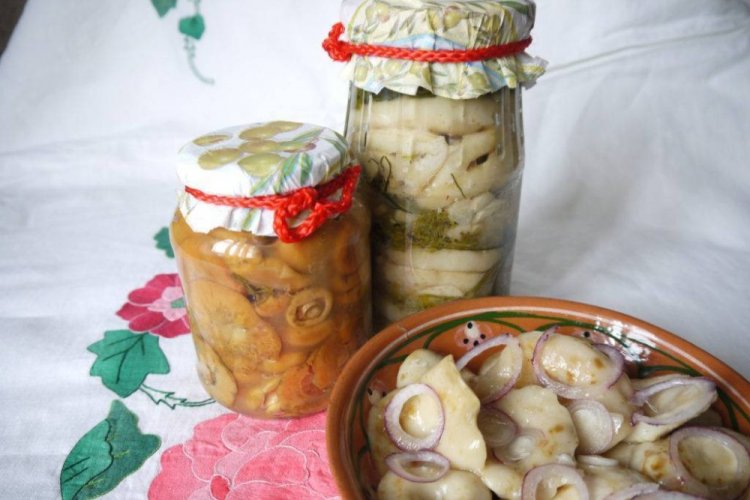 Жареные грузди на зиму