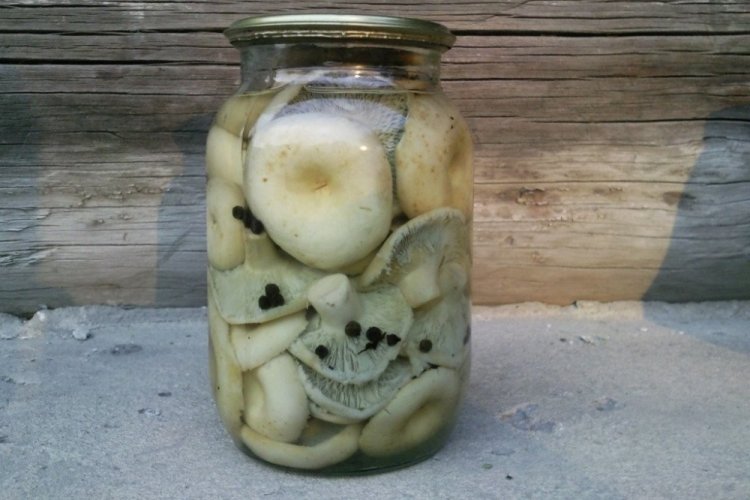 Маринованные грузди с лимонной кислотой на зиму