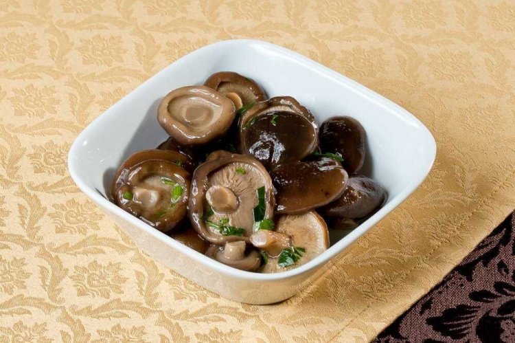 Соленые грузди холодным способом на зиму