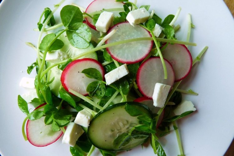 Салат с редиской, микрозеленью и фетой