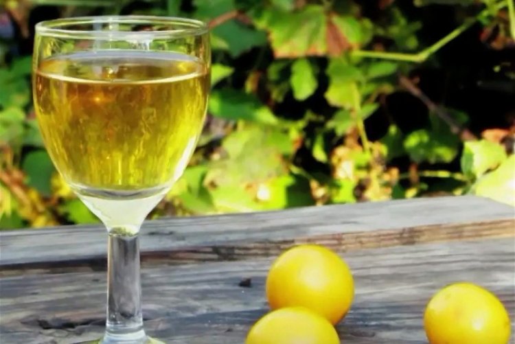 Вино из алычи