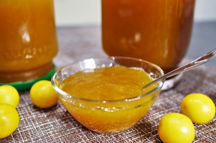 Желе из желтой алычи на зиму