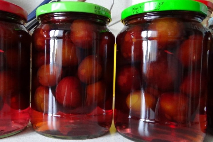 Компот из алычи и сливы без стерилизации