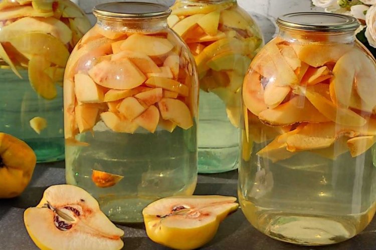 Компот из айвы на зиму