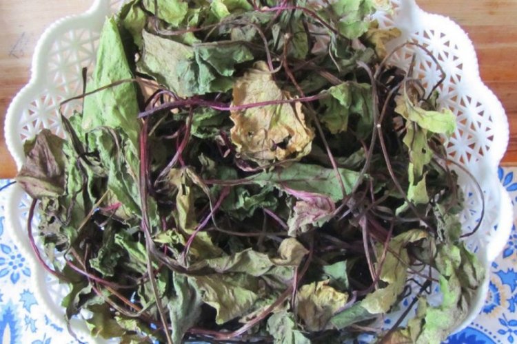 Сушеная свекольная ботва на зиму