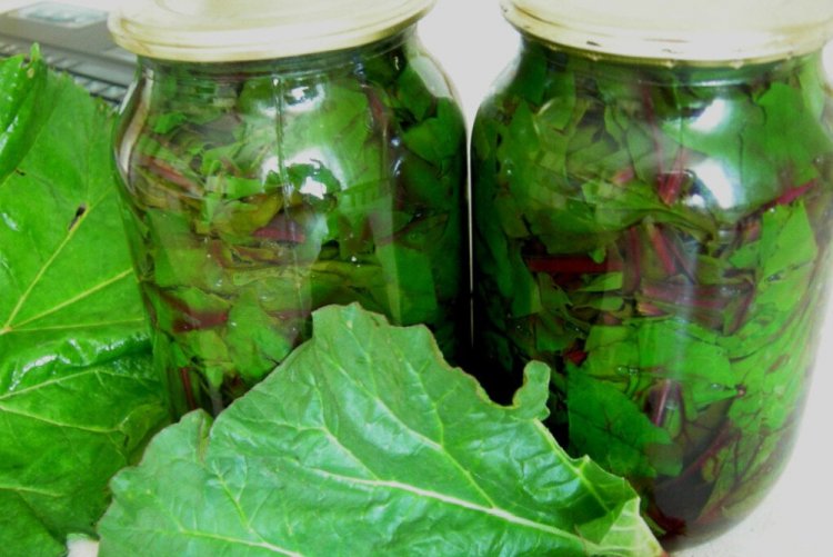 Свекольная ботва с морковной ботвой на зиму