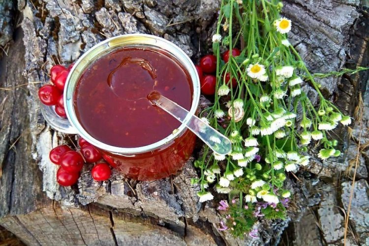 Боярышник с медом