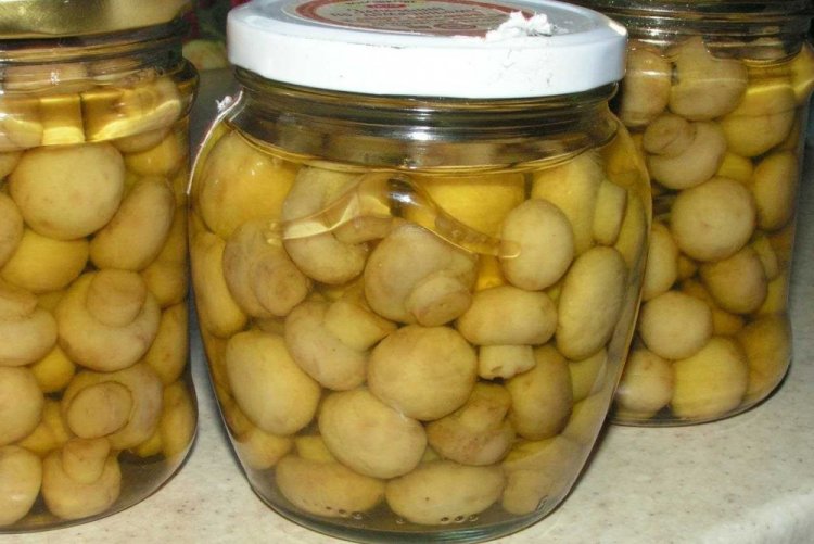 Шампиньоны без масла на зиму