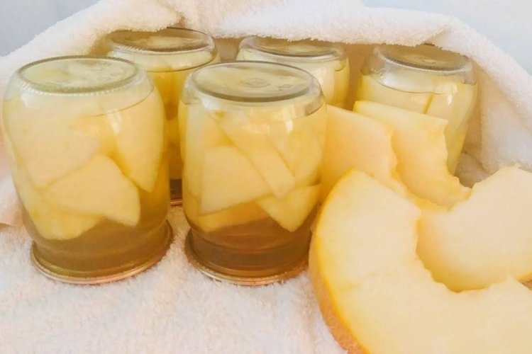 Дыня как ананас на зиму