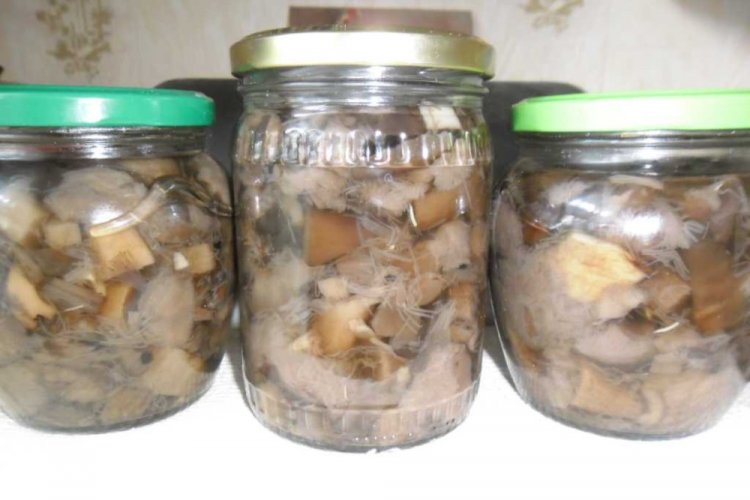 Жареные подосиновики на зиму