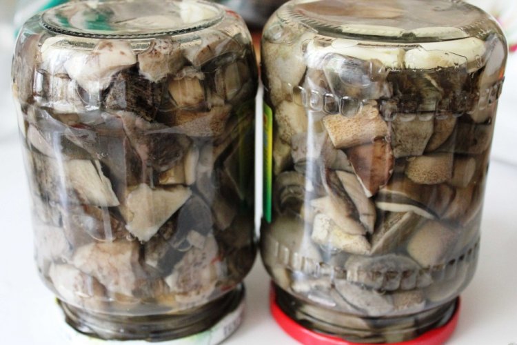 Маринованные подосиновики с луком на зиму