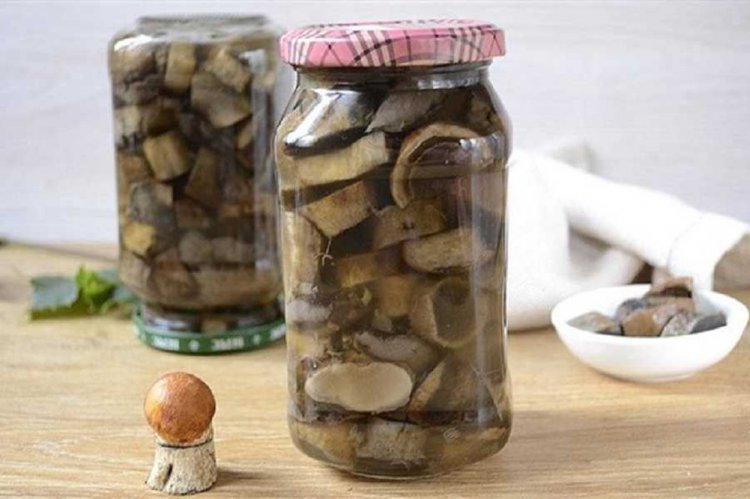 Маринованные подосиновики без стерилизации на зиму
