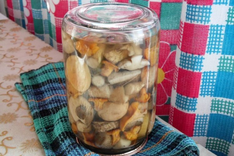 Подосиновики с яблочным уксусом на зиму