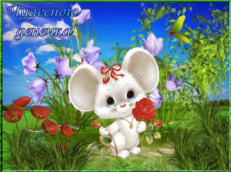 Красивые картинки «Добрый день!»