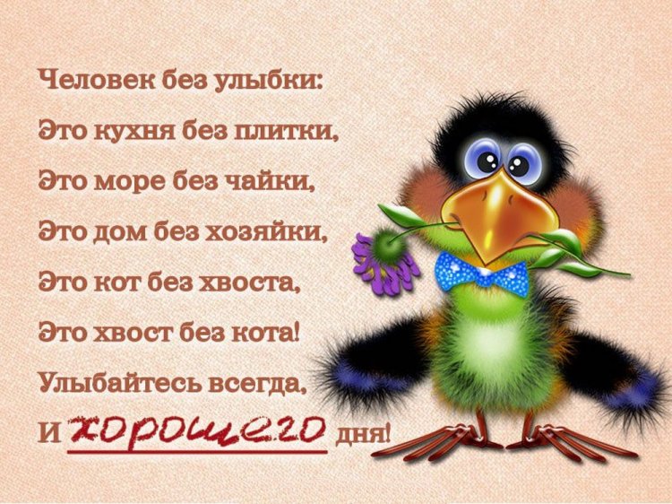 Самые прикольные картинки «Добрый день!»
