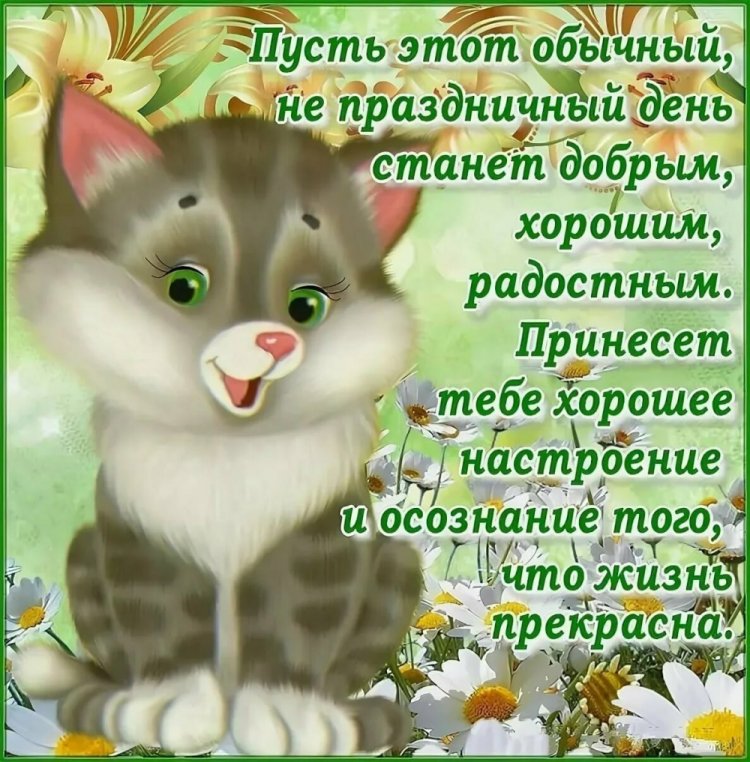 Картинки «Добрый день!» с позитивными пожеланиями