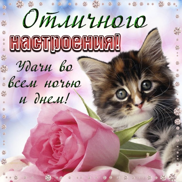 Картинки с пожеланиями доброго настроения