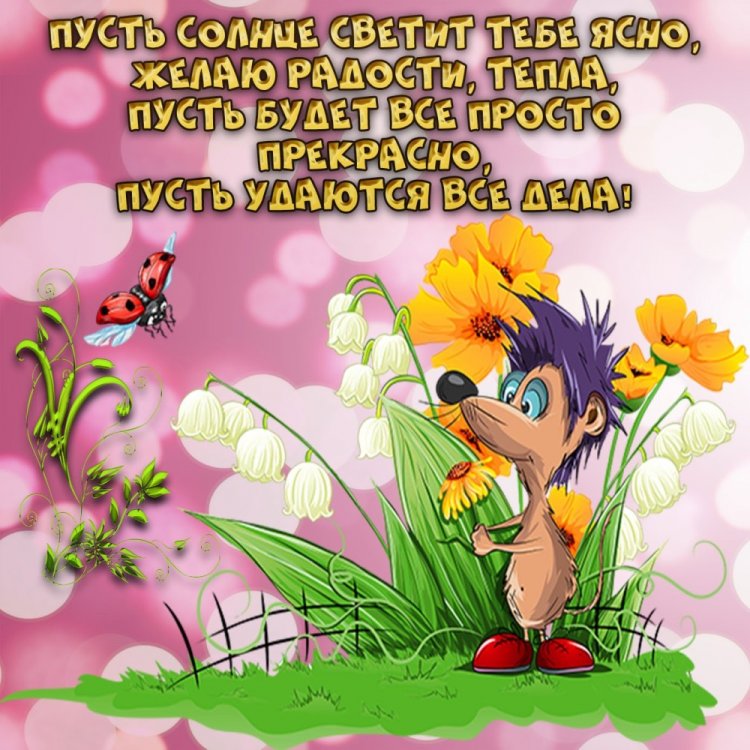Позитивные картинки с пожеланиями добра