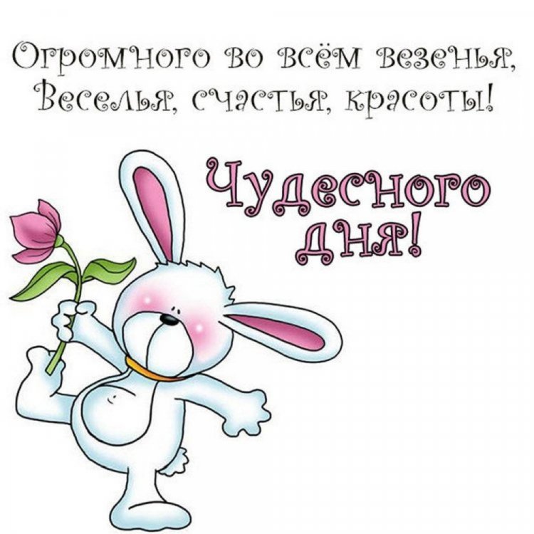 Прикольные картинки с пожеланиями добра