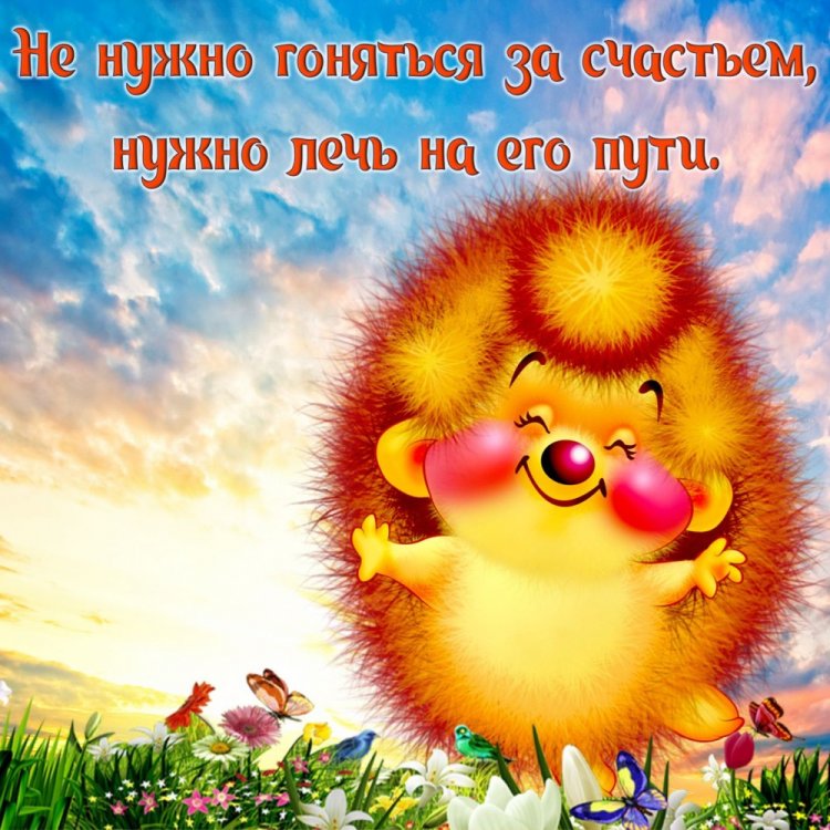 Прикольные картинки с пожеланиями добра