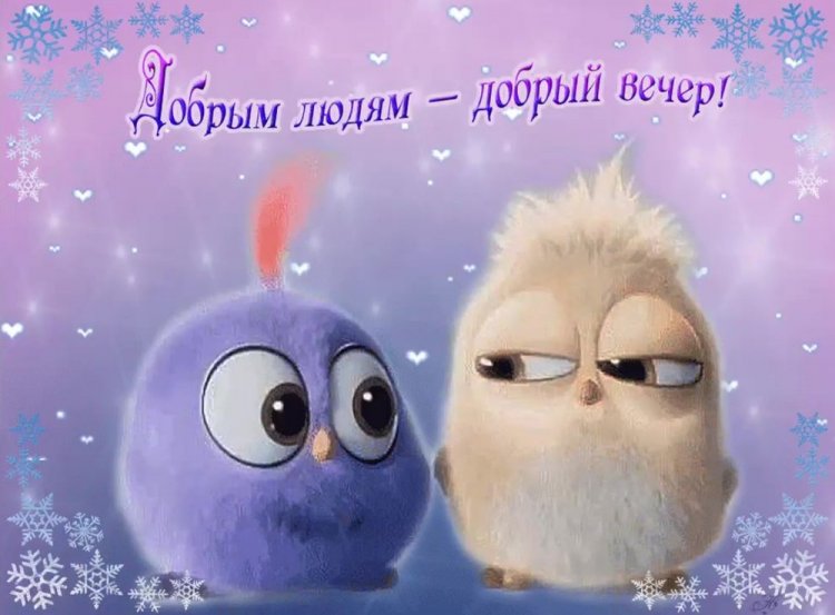 Самые прикольные картинки «Добрый вечер»