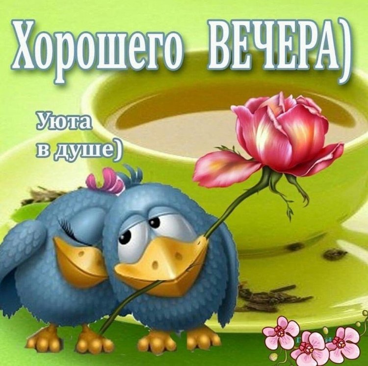 Самые прикольные картинки «Добрый вечер»
