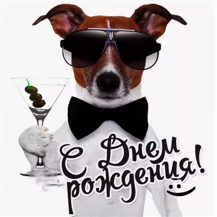 Прикольные и смешные картинки «С Днем рождения!» мужчине