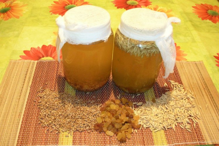 Овсяный квас с солодом