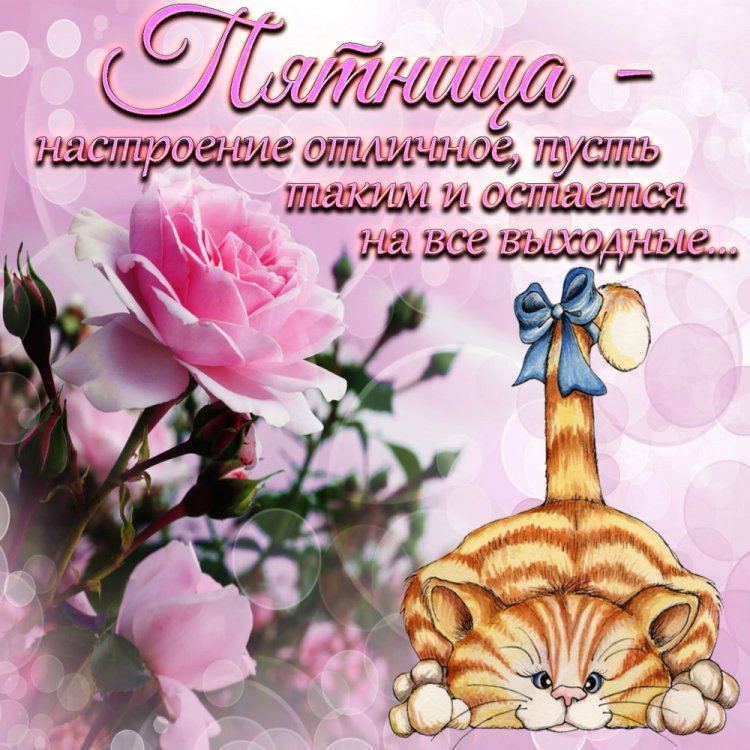 Красивые картинки «Доброе утро пятницы!»