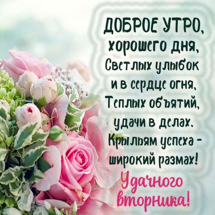 Картинки «Доброе утро вторника!» с пожеланиями