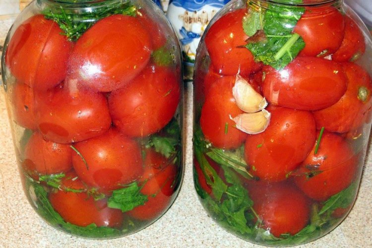 Помидоры с сельдереем, укропом и зеленью на зиму