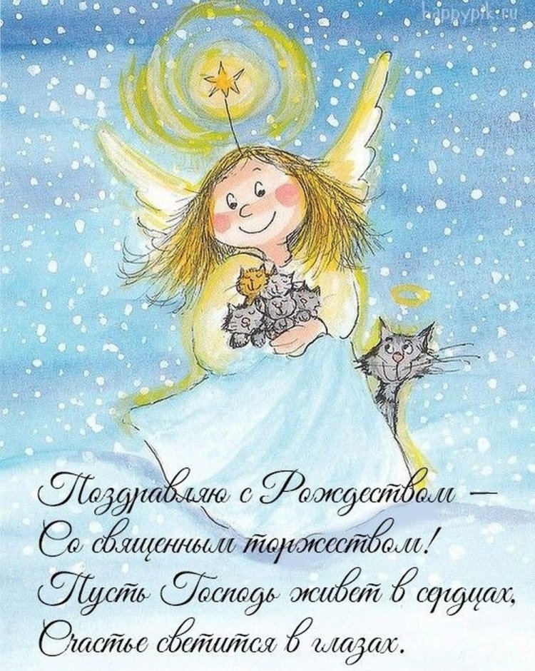 Прикольные и смешные картинки «С Рождеством!»