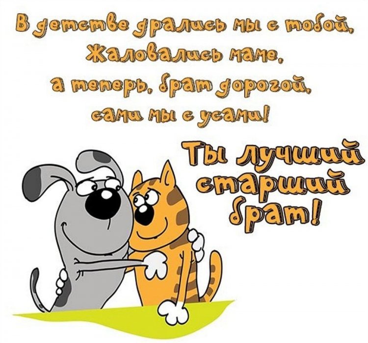 Прикольные и смешные картинки «С Днем рождения!» брату