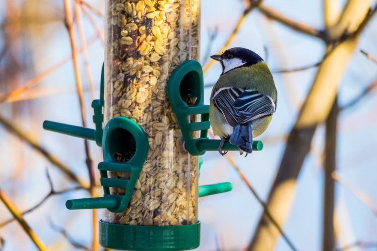 Овсяные хлопья