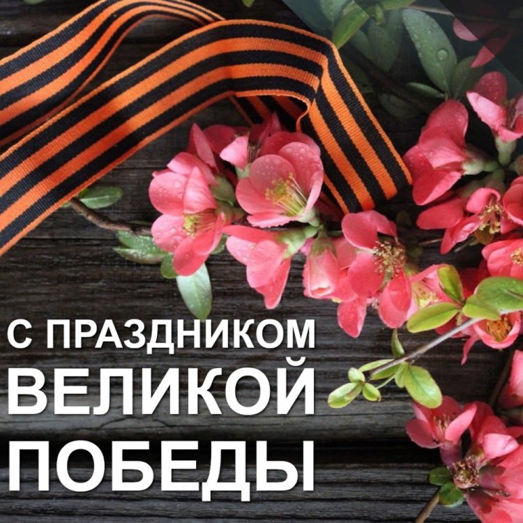 Открытки на 9 Мая коллегам