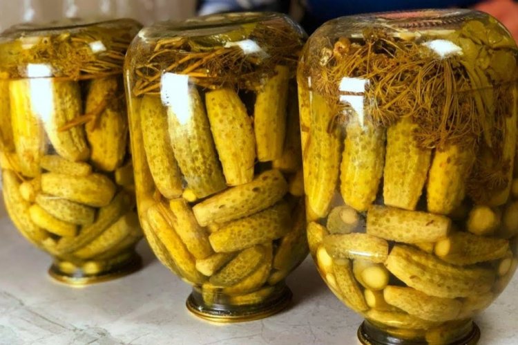 Хрустящие огурцы на зиму без стерилизации