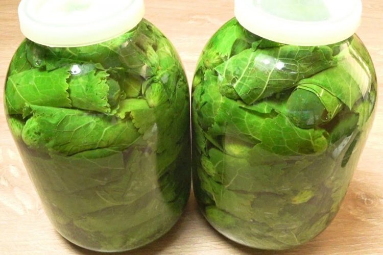 Огурцы в листьях хрена на зиму без стерилизации