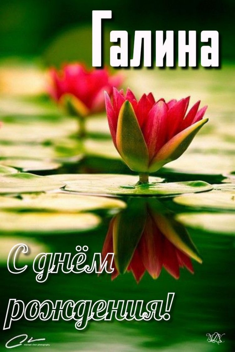 Открытки и картинки «С Днем рождения, Галина!» на юбилей