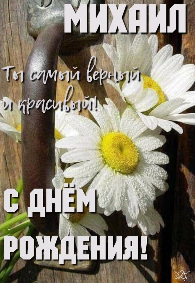 Трогательные и добрые картинки «С Днем рождения, Михаил!»