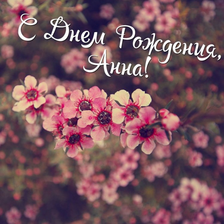 Открытки и картинки «С Днем рождения, Анна!» на юбилей