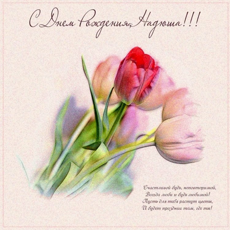 Красивые и оригинальные картинки «С Днем рождения, Надежда!»